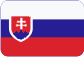 Medzinárodná preprava Slovensky